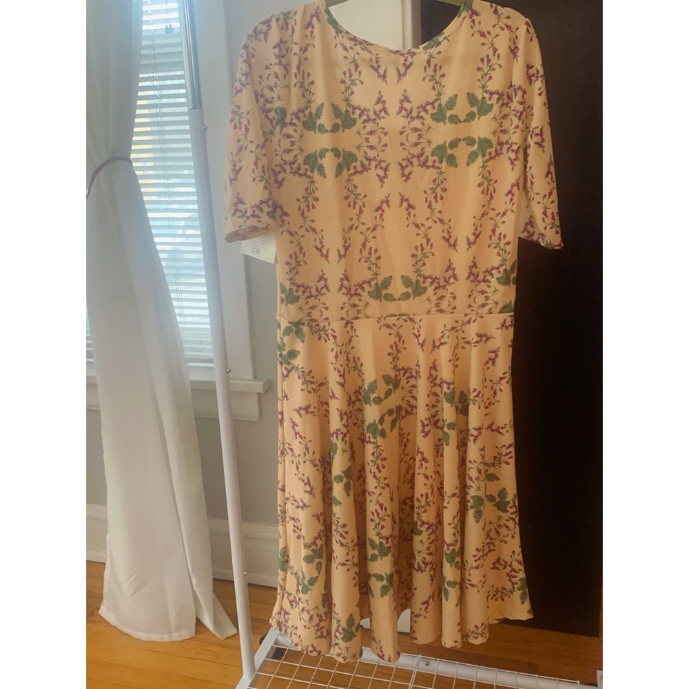 LuLaRoe Nicole Dress - Never Worn!